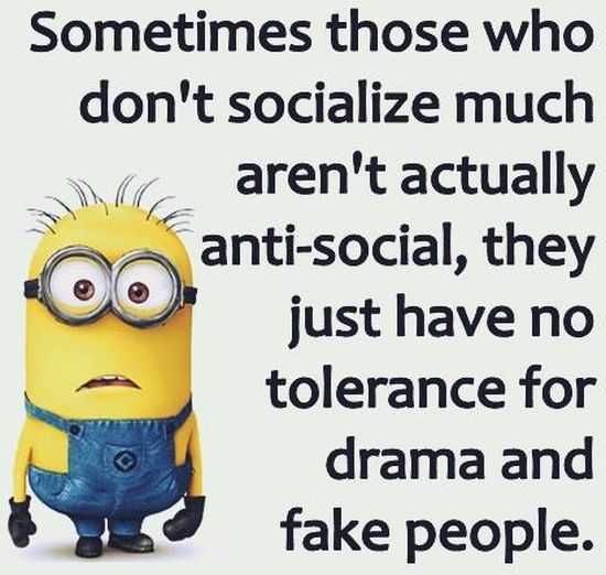 Funny New Minions Pictures 014