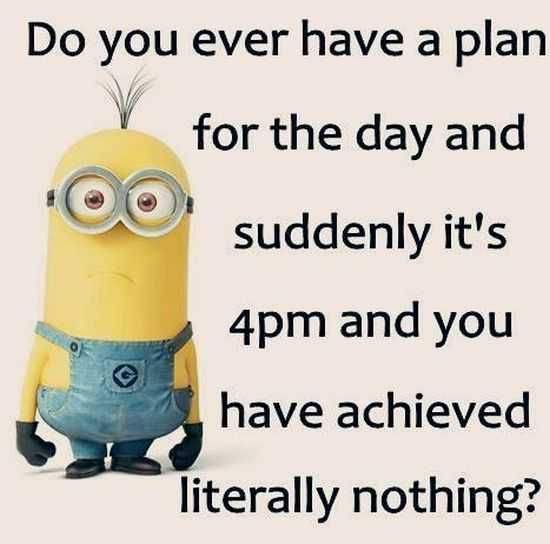 Funny New Minions Pictures 016