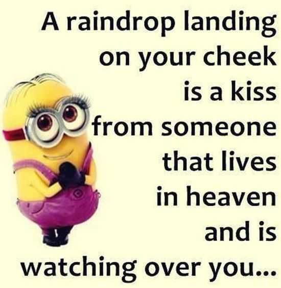 Funny New Minions Pictures 033