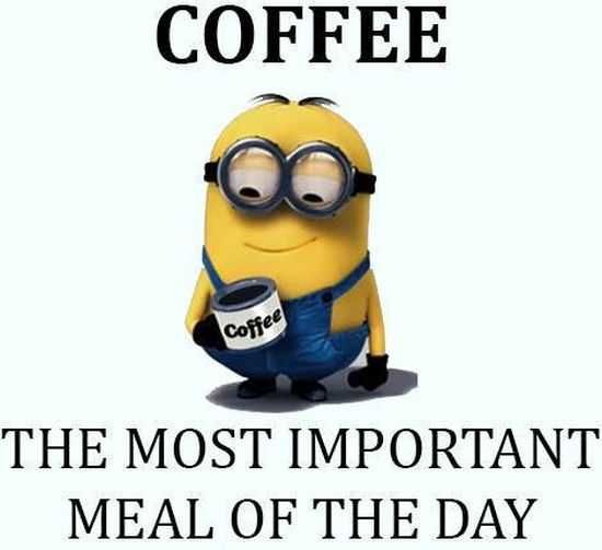 New Minion Pictures Of The Day 021