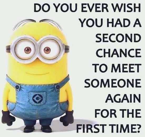 New Minion Pictures Of The Day 025