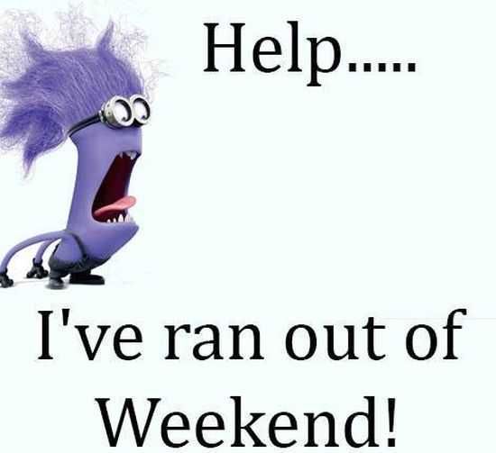 New Minion Pictures Of The Day 040