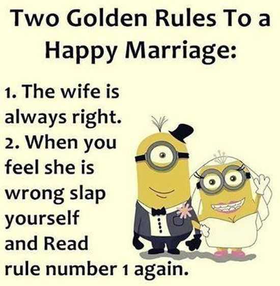 New Funny Minion Pictures And Quotes 020