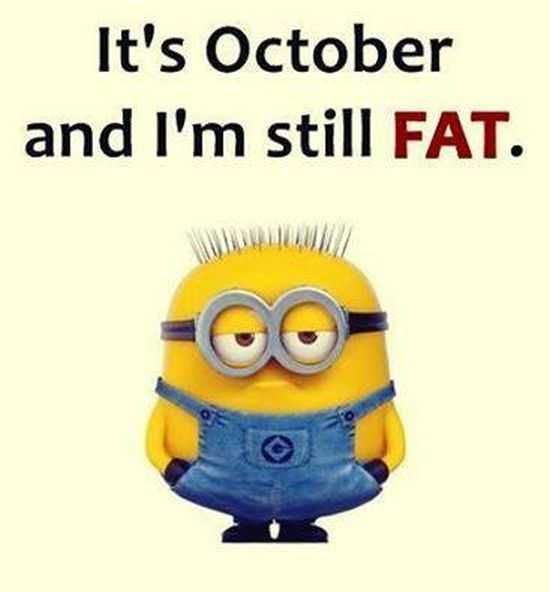 The Best Minion Pictures Of The Week 043