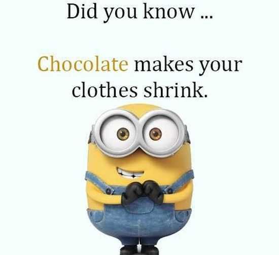 The Best Minion Pictures Of The Week 050