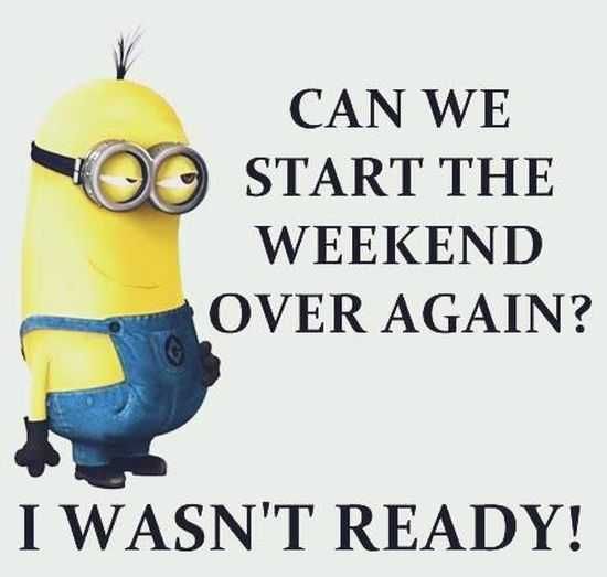 The Best Minion Pictures Of The Week 060