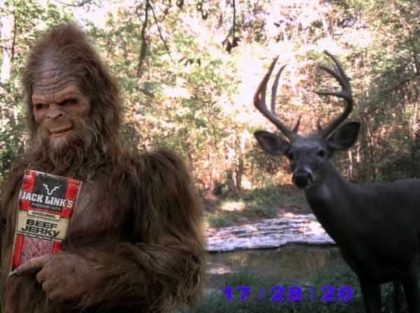 Funny And Crazy Trail Cam Pictures 015