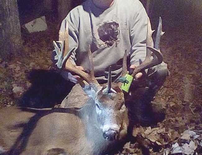 Wisconsin Hunter Bags A Rare Unicorn Buck Pictures
