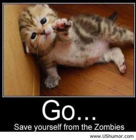 Funny Animal Pics That Will Make You Smile 5009