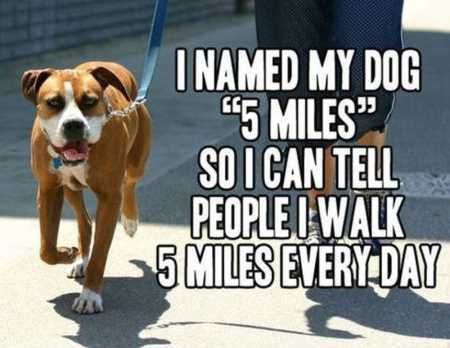 Funny Animal Pics That Will Make You Smile 5022