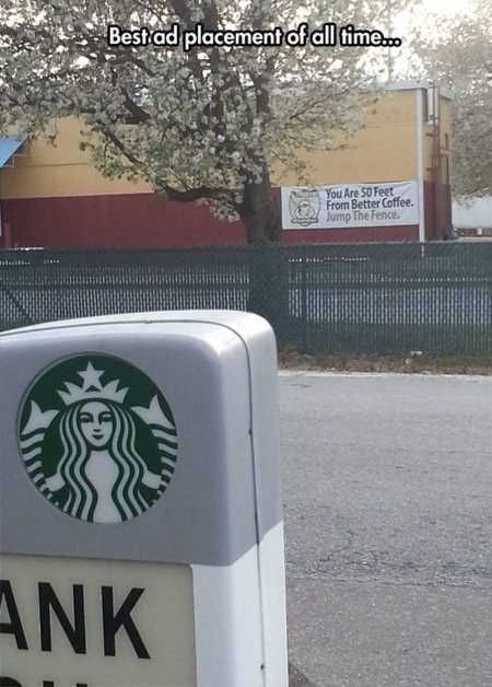 Funny Pics That Will Make You Lol 5005