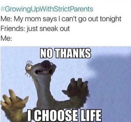 Funny Pics That Will Make You Lol 5029