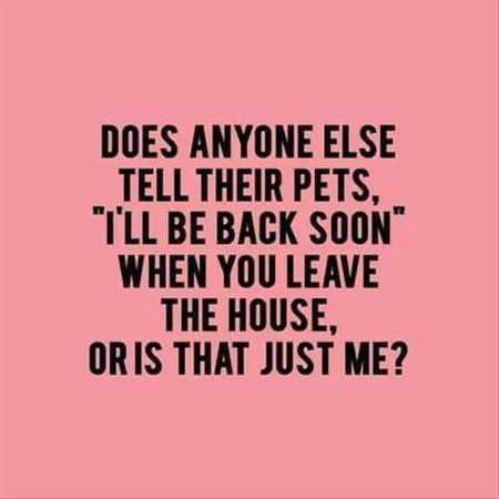 Funny Quotes And Sayings 5002