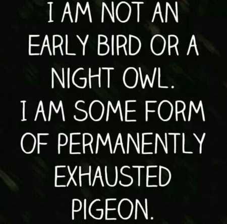 Funny Quotes And Sayings 5021