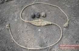 How To Make And Use A Primitive Sling Out Of Tree Bark Video Featured