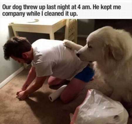 Hilarious Animal Pictures 514