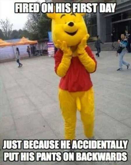 Hilarious Pictures 504