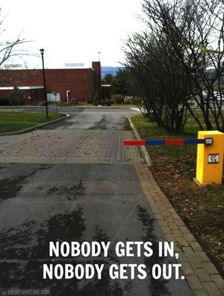 Hilarious Pictures 506