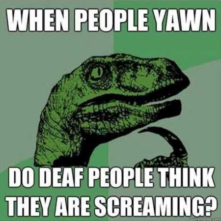 Hilarious Pictures 507