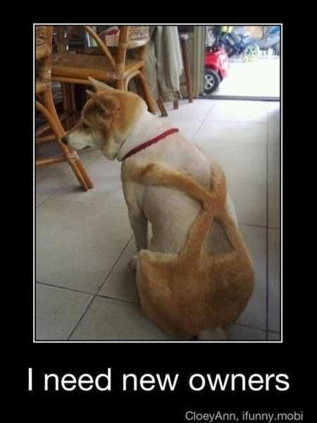 Hilarious Pictures 508