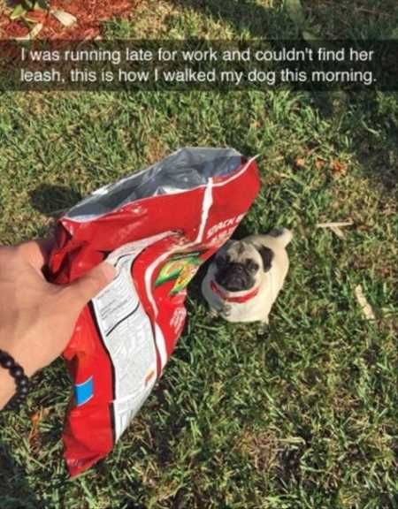 Hilarious Pictures 514
