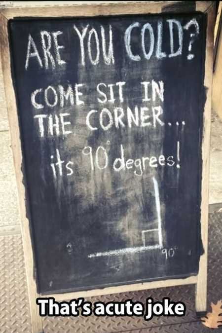 Hilarious Pictures 515