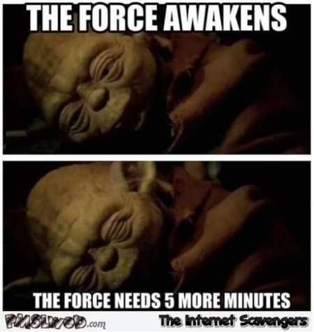 Hilarious Pictures 524
