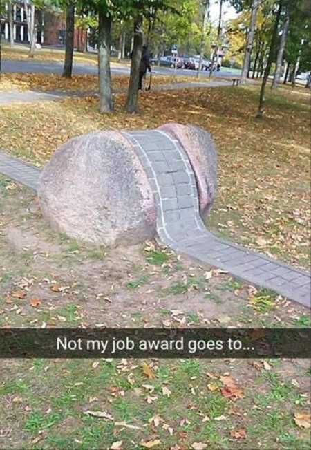 Hilarious Pictures 525