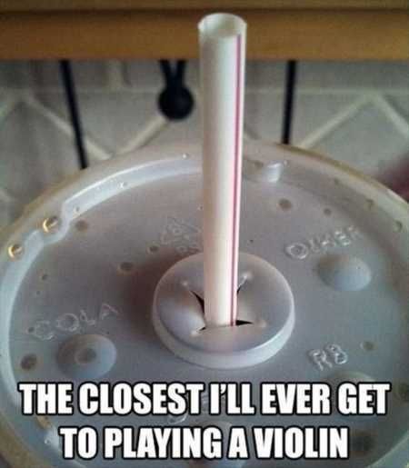 Hilarious Pictures 527
