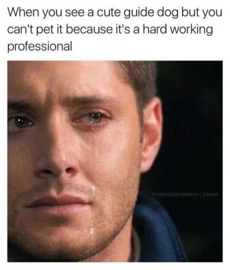 Hilarious Pictures 531