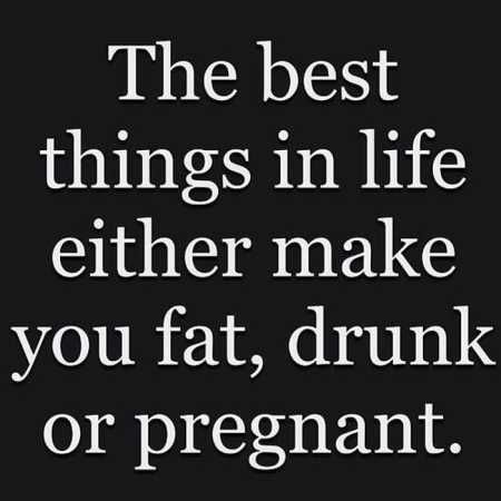 Hilarious Quotes 510