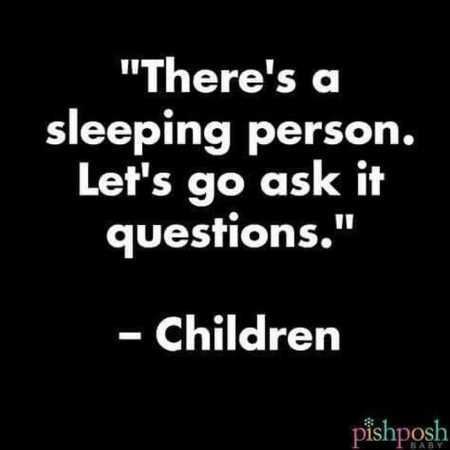 Hilarious Quotes 520