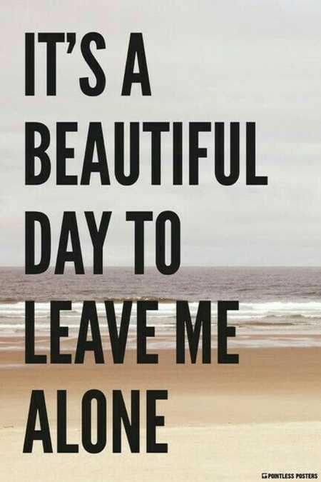 Hilarious Quotes 530