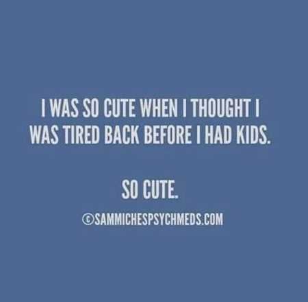 Hilarious Quotes 531