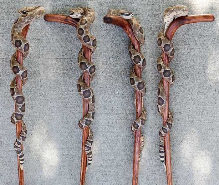 Watch This Guy Make Amazing Wooden Rattlesnake Walking Canes Pictures