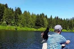 When A Bald Eagle Swoops Down And Steals Your Fish Featured