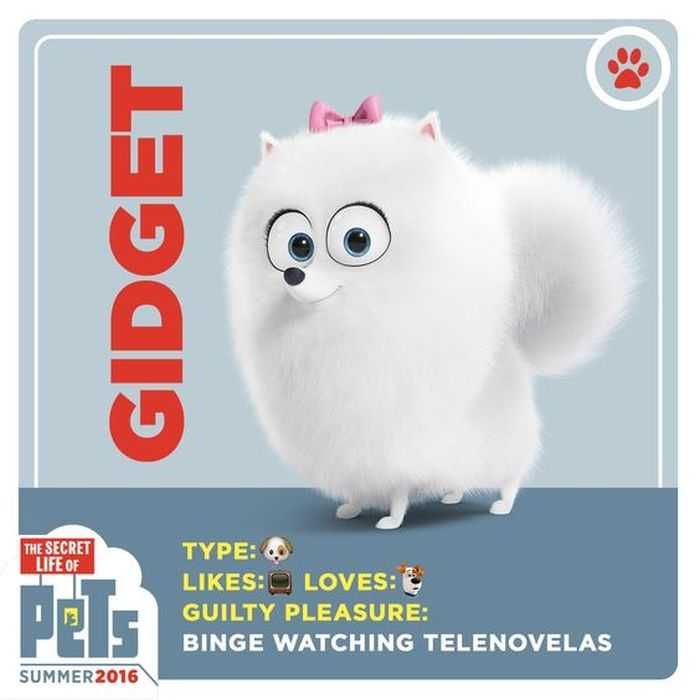 Secret Life Of Pets Memes
