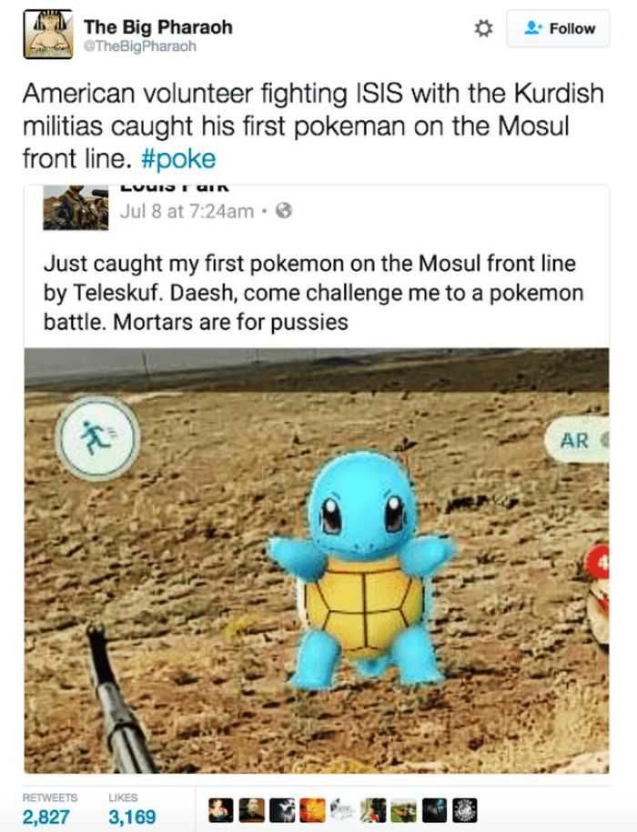 Pokemon Go Funny Pictures And Memes 023