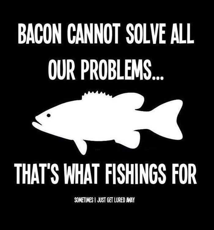 Funny Hunting And Fishing Pictures And Memes 001
