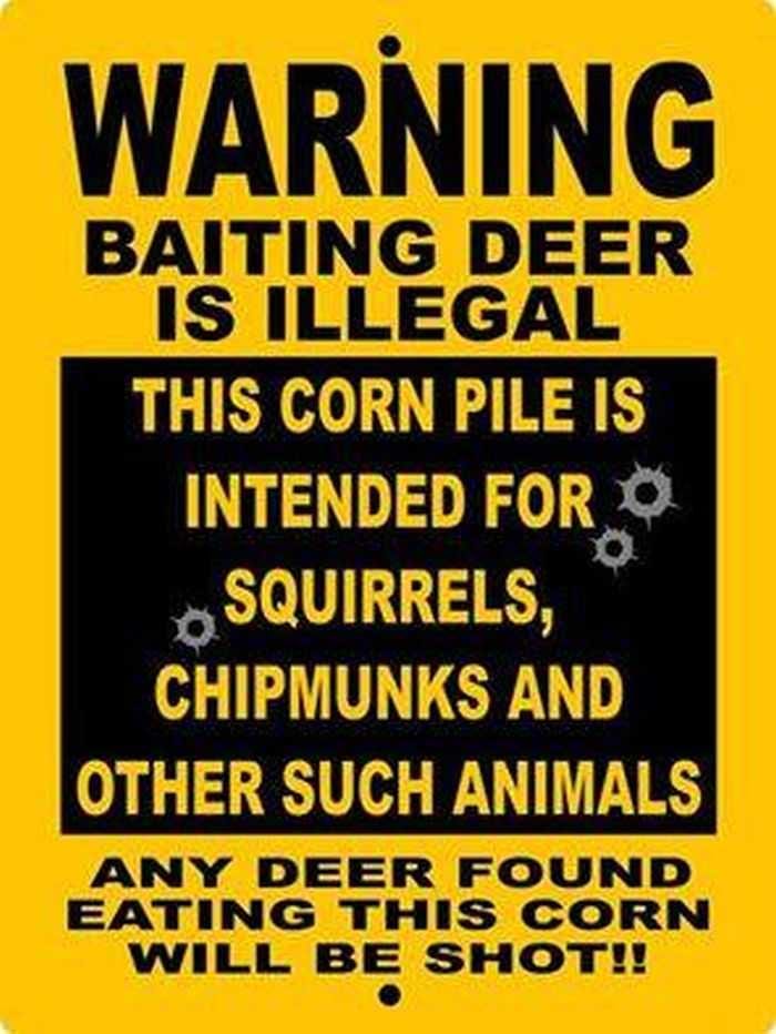 Funny Hunting And Fishing Pictures And Memes 014
