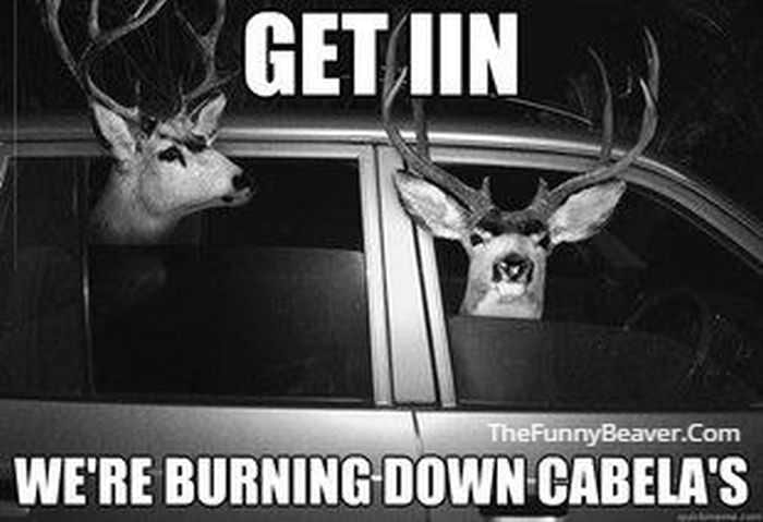 Funny Hunting And Fishing Pictures And Memes 020