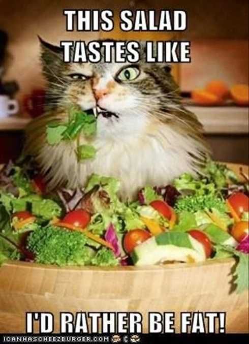 22Ofthefunniestpicturesever010