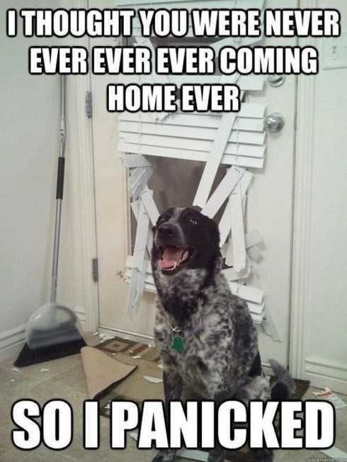 22Ofthefunniestpicturesever011