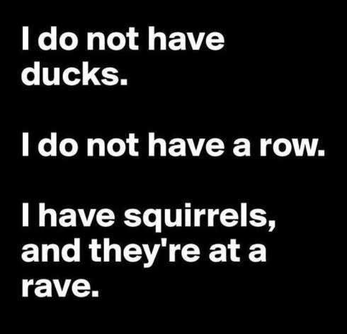 22Ofthefunniestpicturesever014