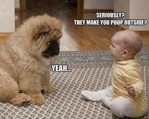 22Ofthefunniestpicturesever021