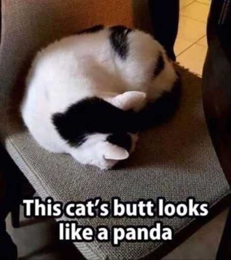 26Funnypicturesthatwillmakeyousmile002