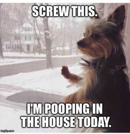 26Funnypicturesthatwillmakeyousmile004