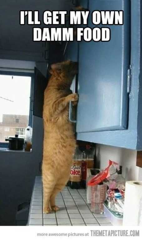 26Funnypicturesthatwillmakeyousmile007