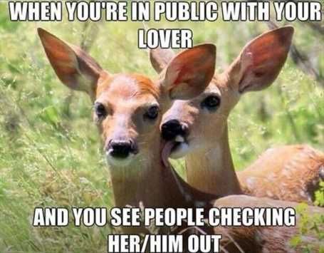 26Funnypicturesthatwillmakeyousmile012