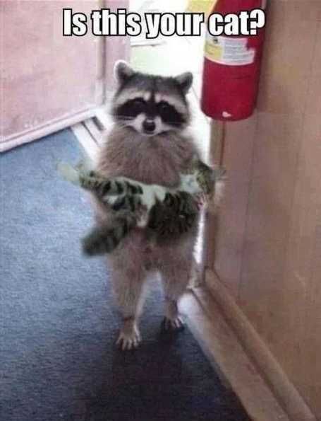 26Funnypicturesthatwillmakeyousmile020